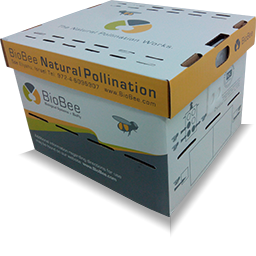 Улей шмелей БиоШмель