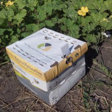 Шмели для опыления БиоШмель фото 11