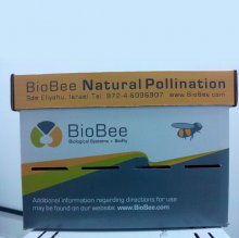 Шмели для опыления БиоШмель фото 18