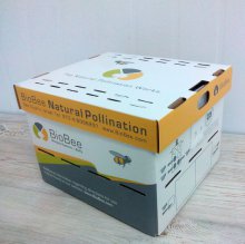 Шмели для опыления БиоШмель фото 19