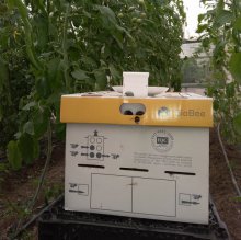 Шмели для опыления БиоШмель фото 26